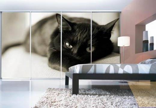 Шкаф-купе с фотопечатью Черный кот