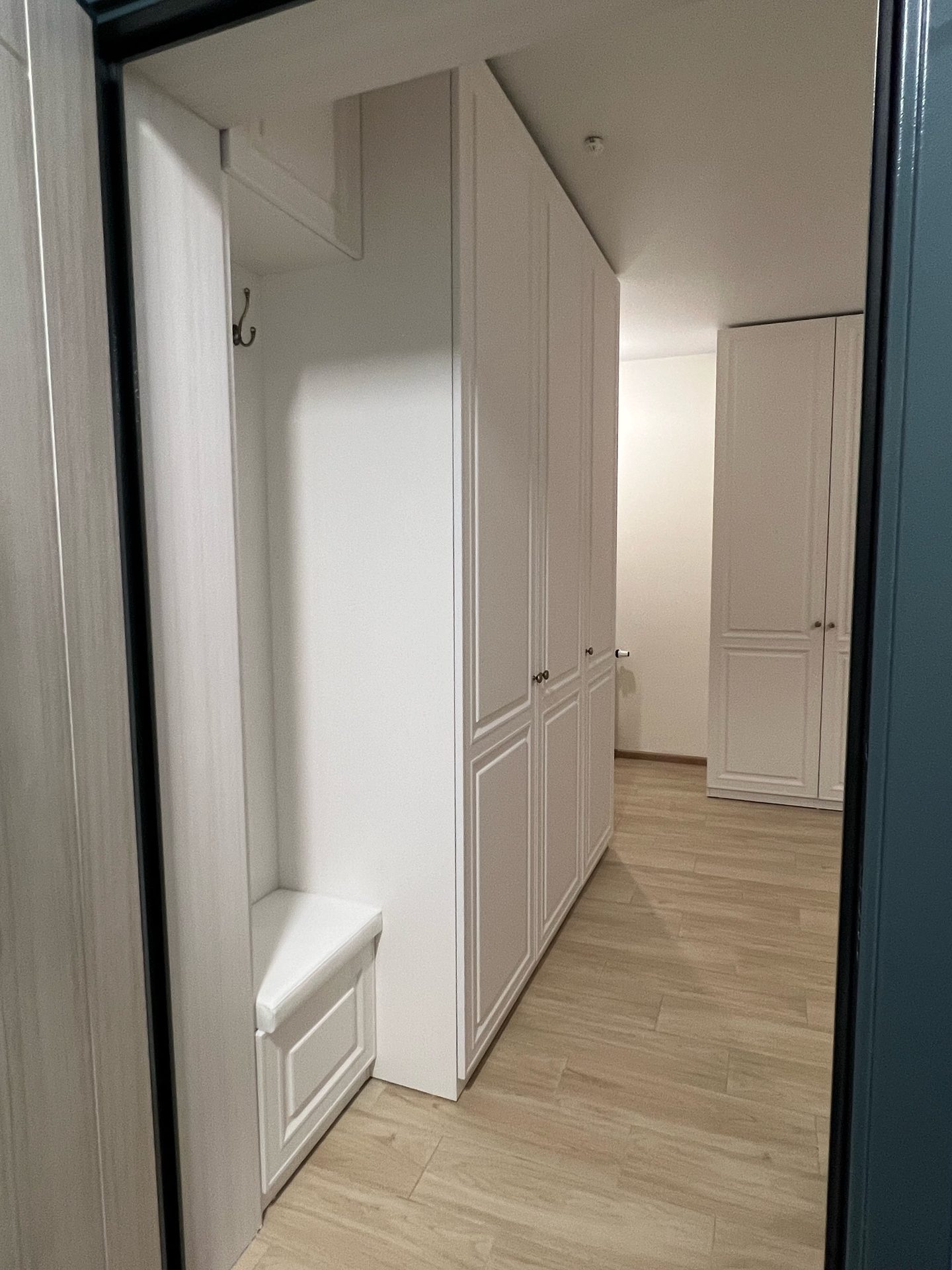 Распашной шкаф в прихожую Эльфира Распашной шкаф в прихожую Эльфира